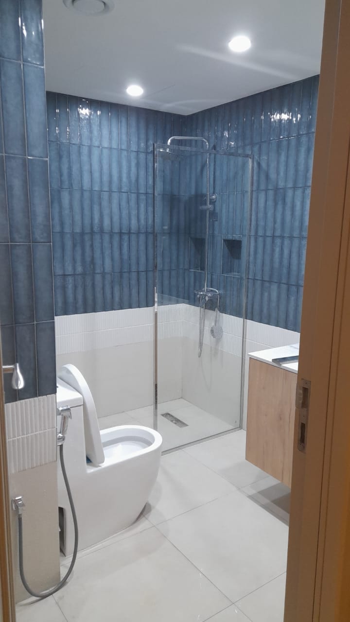 Apartment bathroom with blue wall tiles, a glass shower screen and a white toilet